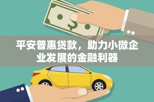 亭湖平安普惠贷款，助力小微企业发展的金融利器