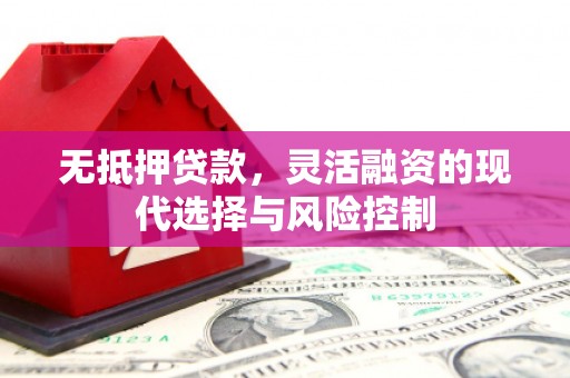 亭湖无抵押贷款，灵活融资的现代选择与风险控制