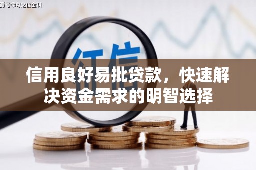 亭湖信用良好易批贷款，快速解决资金需求的明智选择