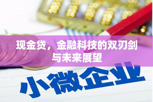 亭湖现金贷，金融科技的双刃剑与未来展望