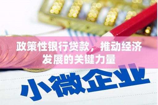 亭湖政策性银行贷款，推动经济发展的关键力量
