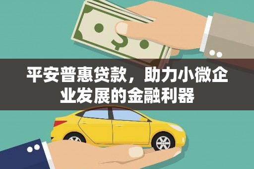 亭湖平安普惠贷款，助力小微企业发展的金融利器