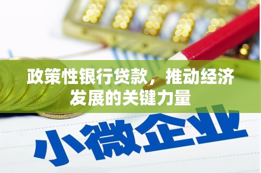 亭湖政策性银行贷款，推动经济发展的关键力量
