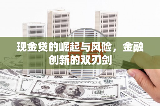 亭湖现金贷的崛起与风险，金融创新的双刃剑