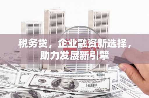 亭湖税务贷，企业融资新选择，助力发展新引擎