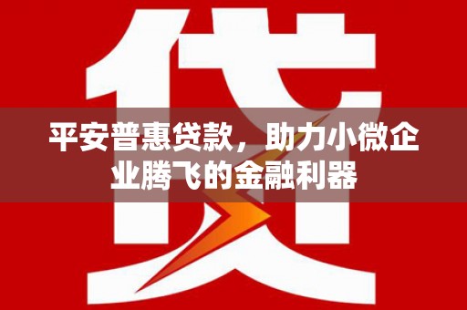 亭湖平安普惠贷款，助力小微企业腾飞的金融利器