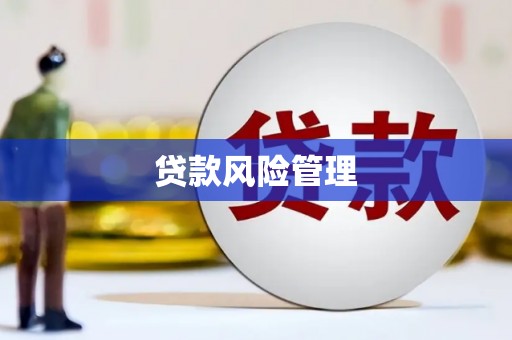 亭湖贷款风险管理