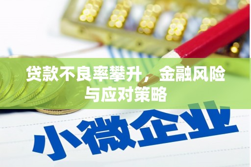 亭湖贷款不良率攀升，金融风险与应对策略
