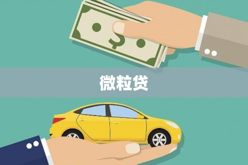 亭湖微粒贷