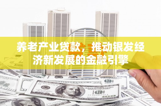 亭湖养老产业贷款，推动银发经济新发展的金融引擎
