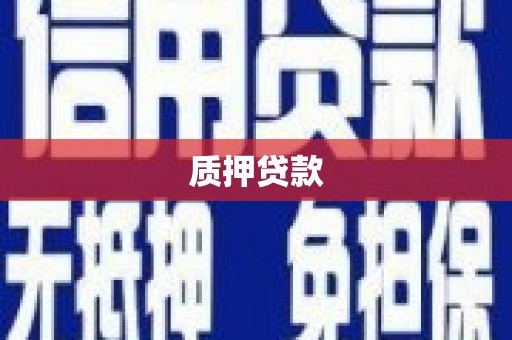 亭湖质押贷款