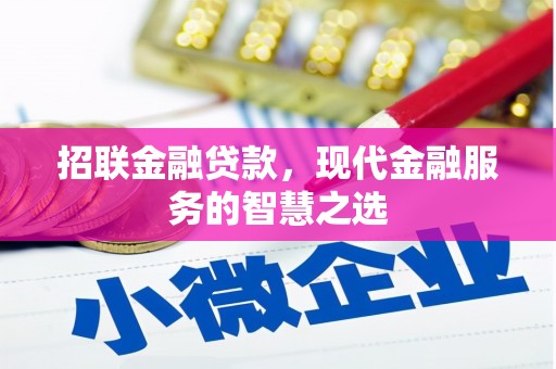 亭湖招联金融贷款，现代金融服务的智慧之选