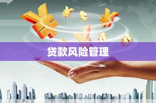 亭湖贷款风险管理