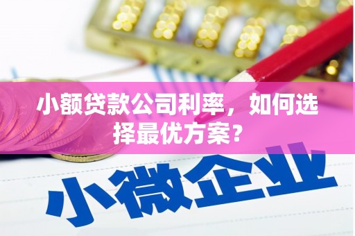 亭湖小额贷款公司利率，如何选择最优方案？