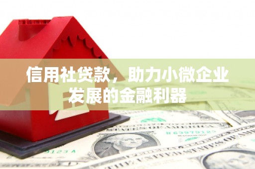 亭湖信用社贷款，助力小微企业发展的金融利器