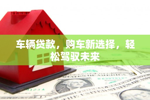 亭湖车辆贷款，购车新选择，轻松驾驭未来