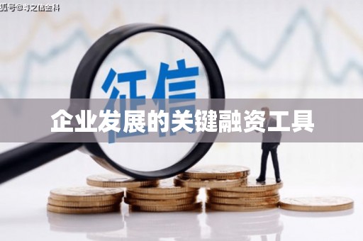 亭湖企业发展的关键融资工具