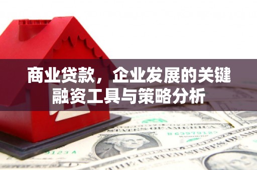 亭湖商业贷款，企业发展的关键融资工具与策略分析
