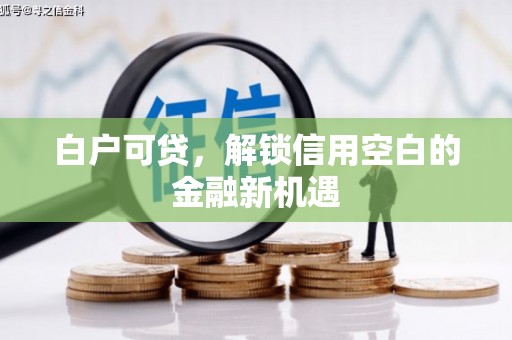 亭湖白户可贷，解锁信用空白的金融新机遇