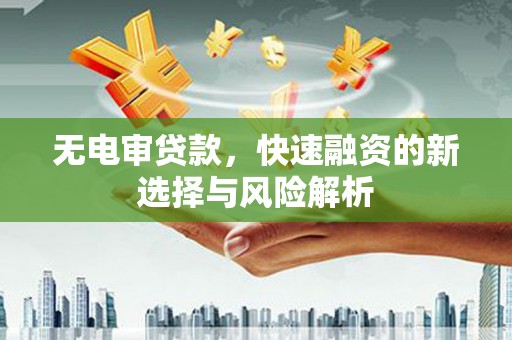 亭湖无电审贷款，快速融资的新选择与风险解析