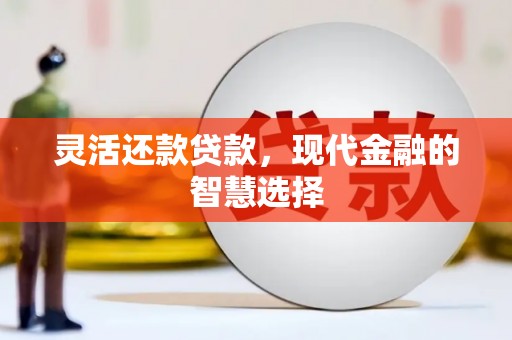 亭湖灵活还款贷款，现代金融的智慧选择