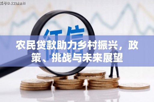 亭湖农民贷款助力乡村振兴，政策、挑战与未来展望