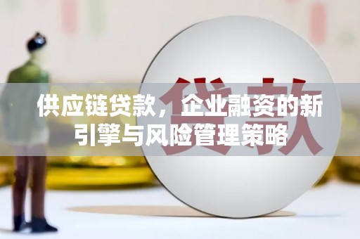 亭湖供应链贷款，企业融资的新引擎与风险管理策略