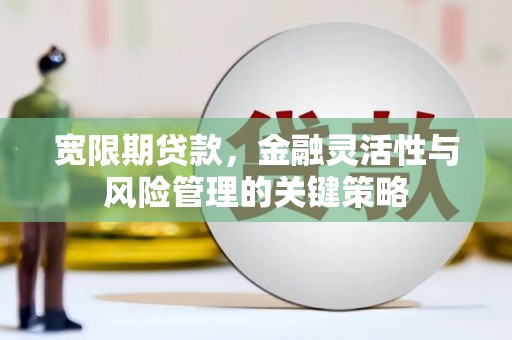 亭湖宽限期贷款，金融灵活性与风险管理的关键策略