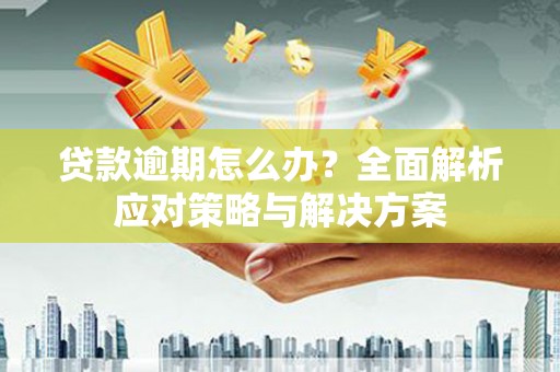亭湖贷款逾期怎么办？全面解析应对策略与解决方案