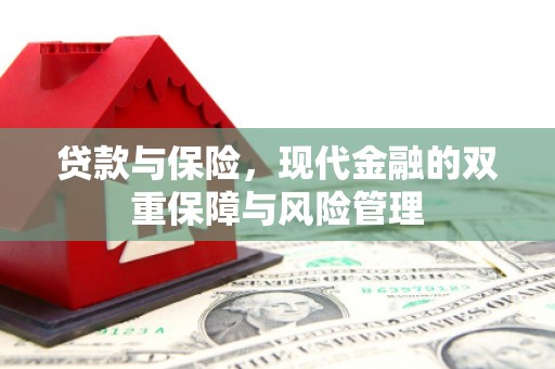 亭湖贷款与保险，现代金融的双重保障与风险管理
