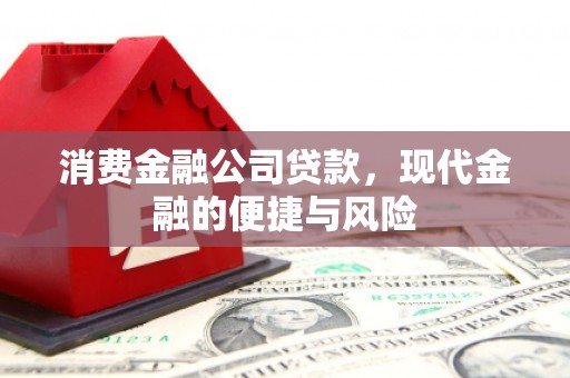 亭湖消费金融公司贷款，现代金融的便捷与风险
