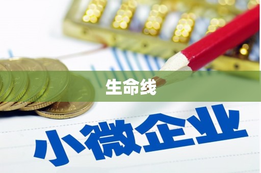 亭湖生命线