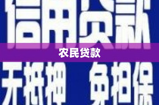 亭湖农民贷款