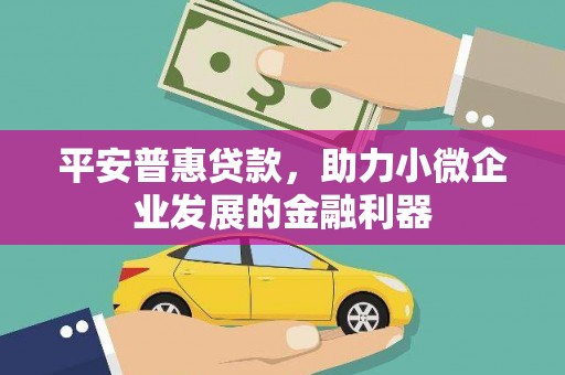 亭湖平安普惠贷款，助力小微企业发展的金融利器