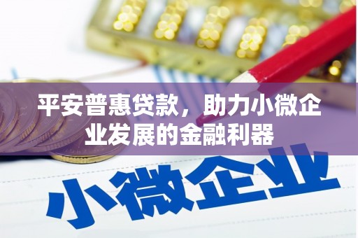 亭湖平安普惠贷款，助力小微企业发展的金融利器