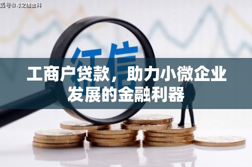亭湖工商户贷款，助力小微企业发展的金融利器