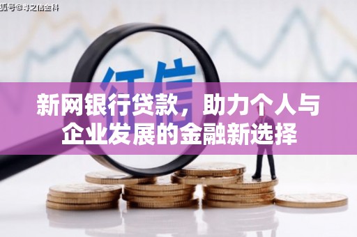 亭湖新网银行贷款，助力个人与企业发展的金融新选择