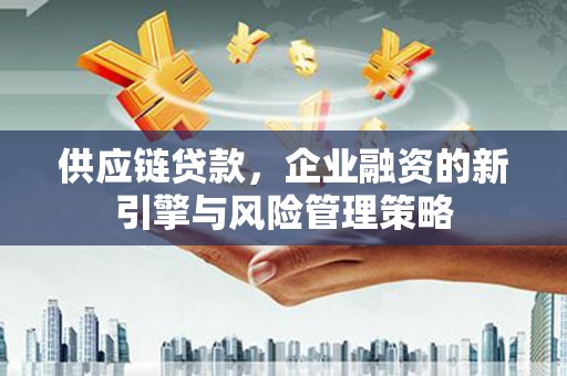 亭湖供应链贷款，企业融资的新引擎与风险管理策略
