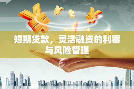 亭湖短期贷款，灵活融资的利器与风险管理