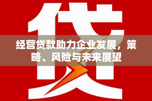 亭湖经营贷款助力企业发展，策略、风险与未来展望