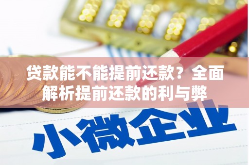 亭湖贷款能不能提前还款？全面解析提前还款的利与弊