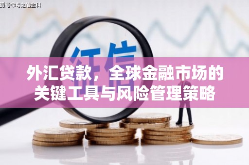 亭湖外汇贷款，全球金融市场的关键工具与风险管理策略