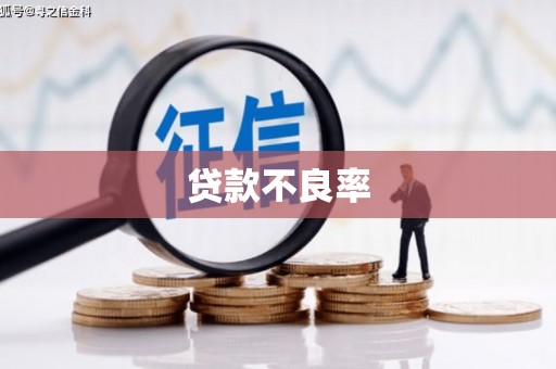 亭湖贷款不良率