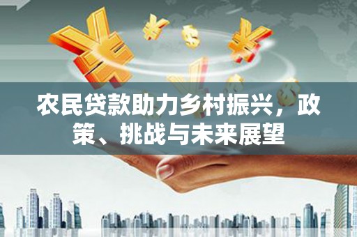 亭湖农民贷款助力乡村振兴，政策、挑战与未来展望