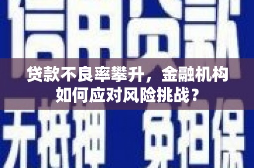 亭湖贷款不良率攀升，金融机构如何应对风险挑战？