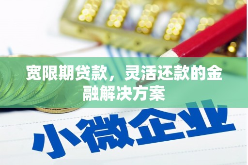 亭湖宽限期贷款，灵活还款的金融解决方案