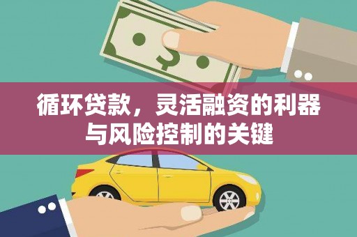 亭湖循环贷款，灵活融资的利器与风险控制的关键