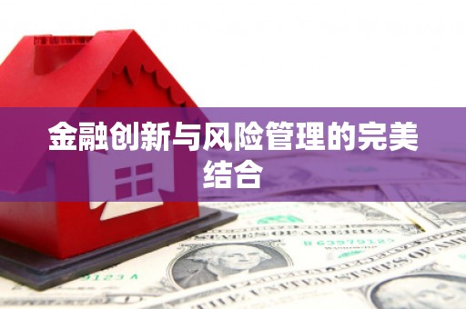 亭湖金融创新与风险管理的完美结合
