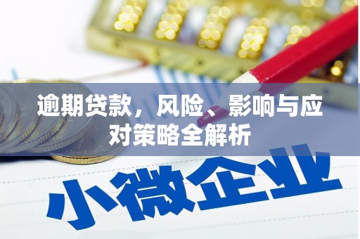 亭湖逾期贷款，风险、影响与应对策略全解析