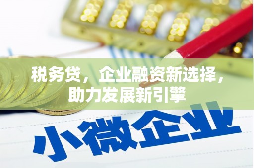 亭湖税务贷，企业融资新选择，助力发展新引擎
